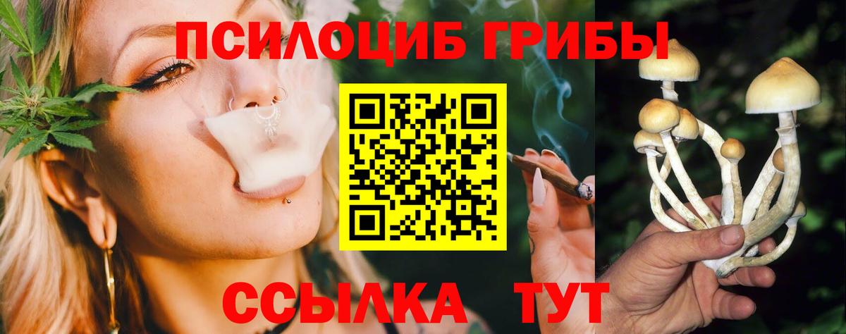 Псилоцибиновые грибы Magic Shrooms  Вход с VPN  Псилоцибиновые грибы Magic Shrooms  Заводоуковск 